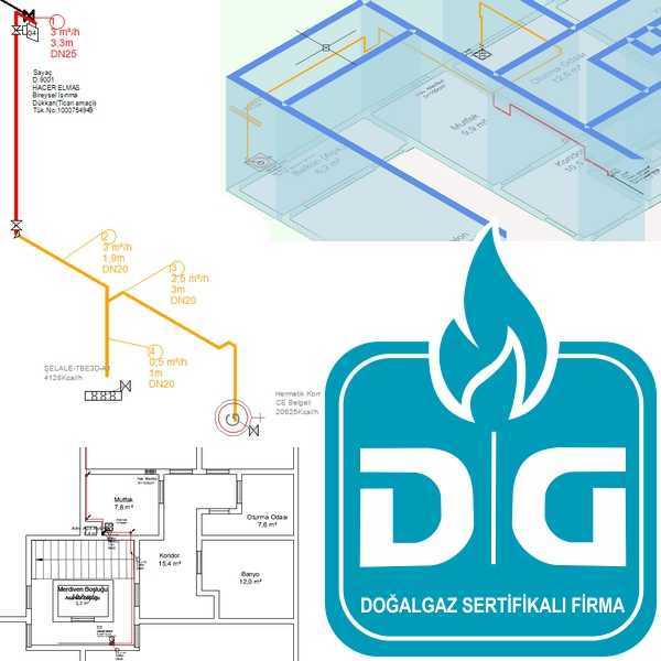 Doğal Gaz Proje